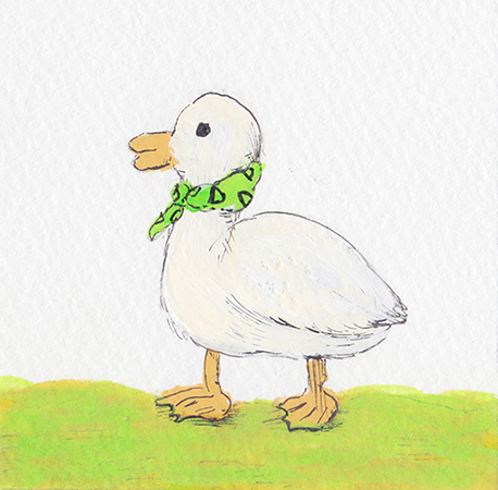duck