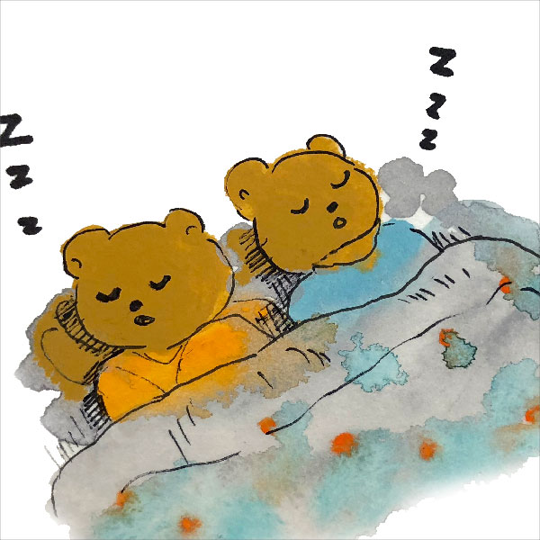 おやすみくま